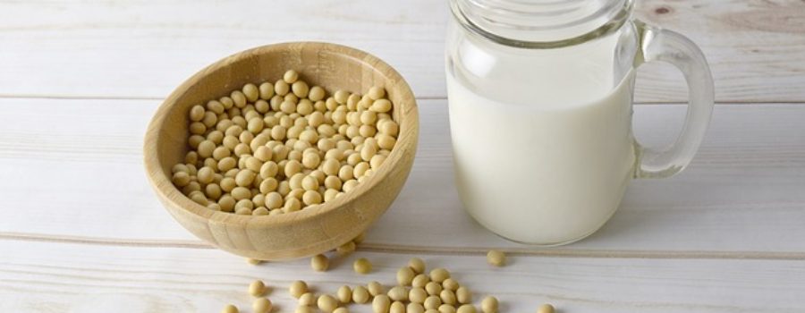 Should You Worry About Soy Estrogens?