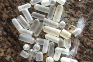 The Probiotic Strains and Their Capsule Shells